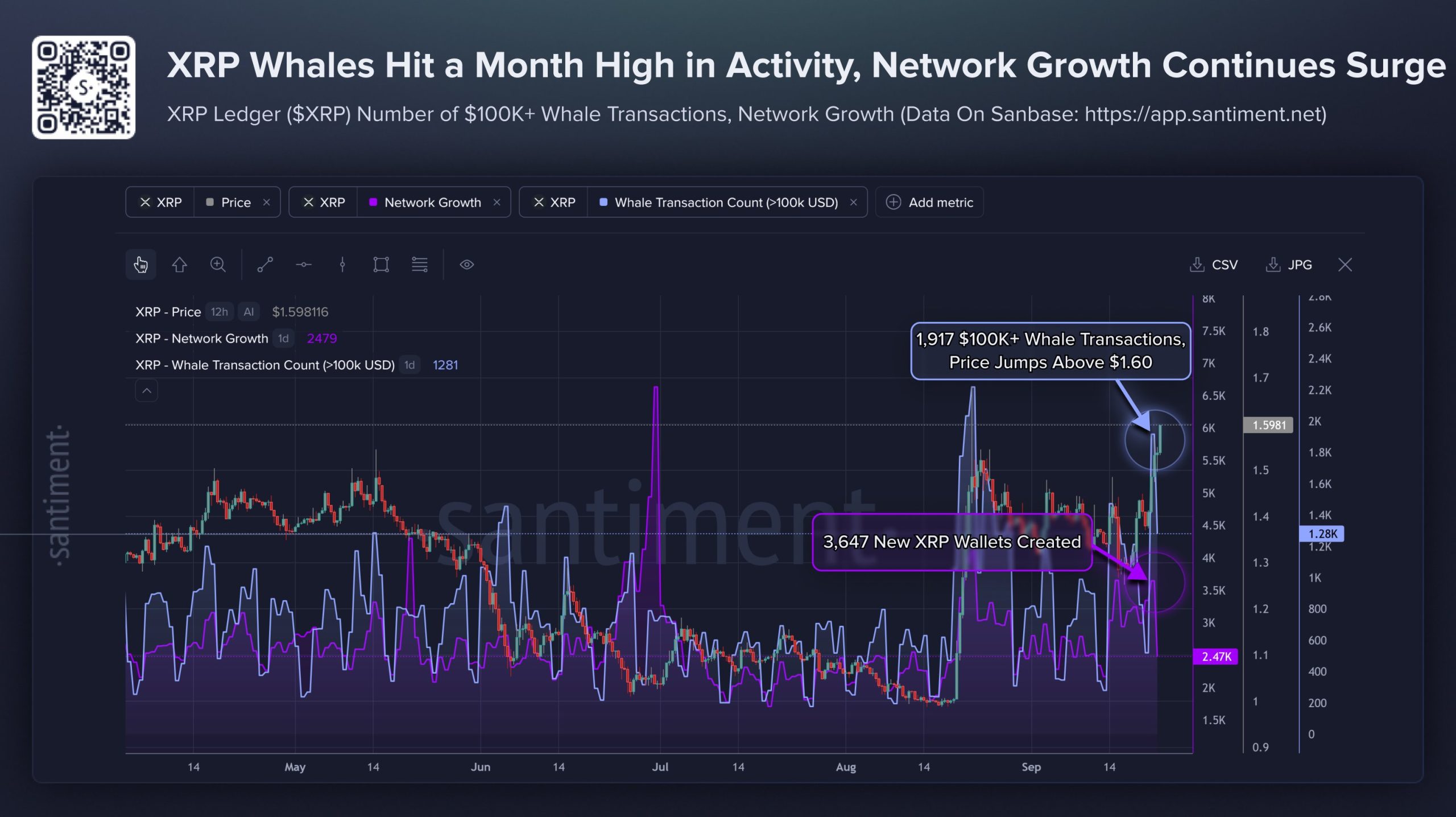 Santiment XRP Verisi
