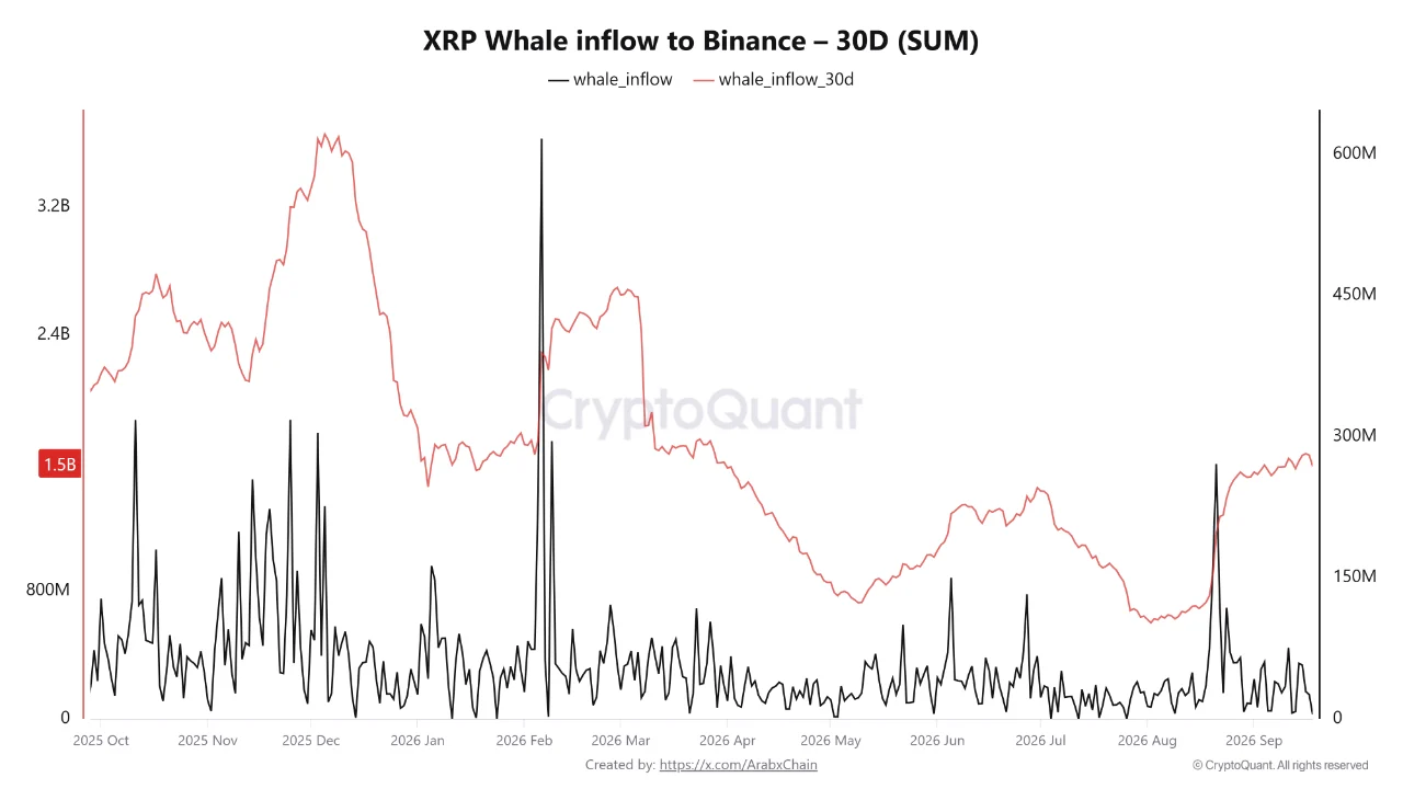 XRP Balina Akışı