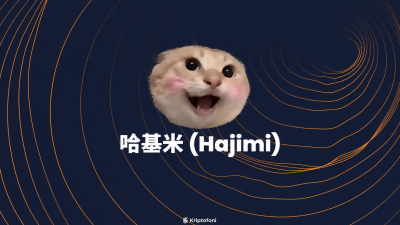 哈基米 (Hajimi) Coin, Çin internet kültüründe kediler, müzik ve kullanıcı