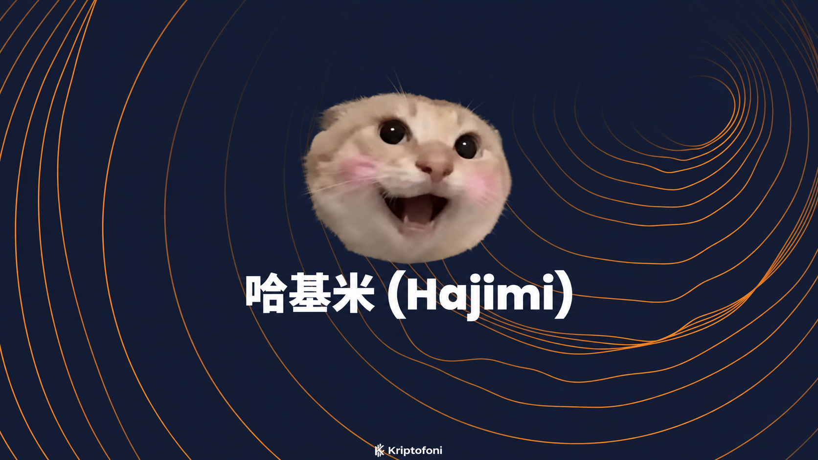 哈基米 (Hajimi) Coin, Çin internet kültüründe kediler, müzik ve kullanıcı