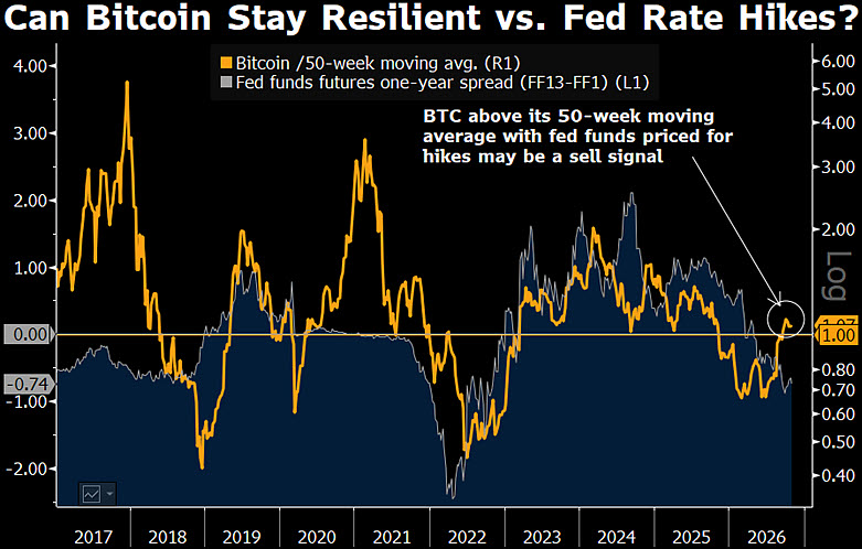 Bloomberg Intelligence stratejisti Mike McGlone'un Paylaştığı Grafik