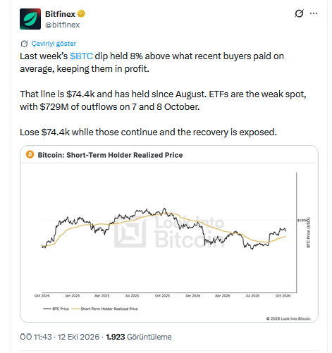 Bitfinex'in paylaştığı grafik