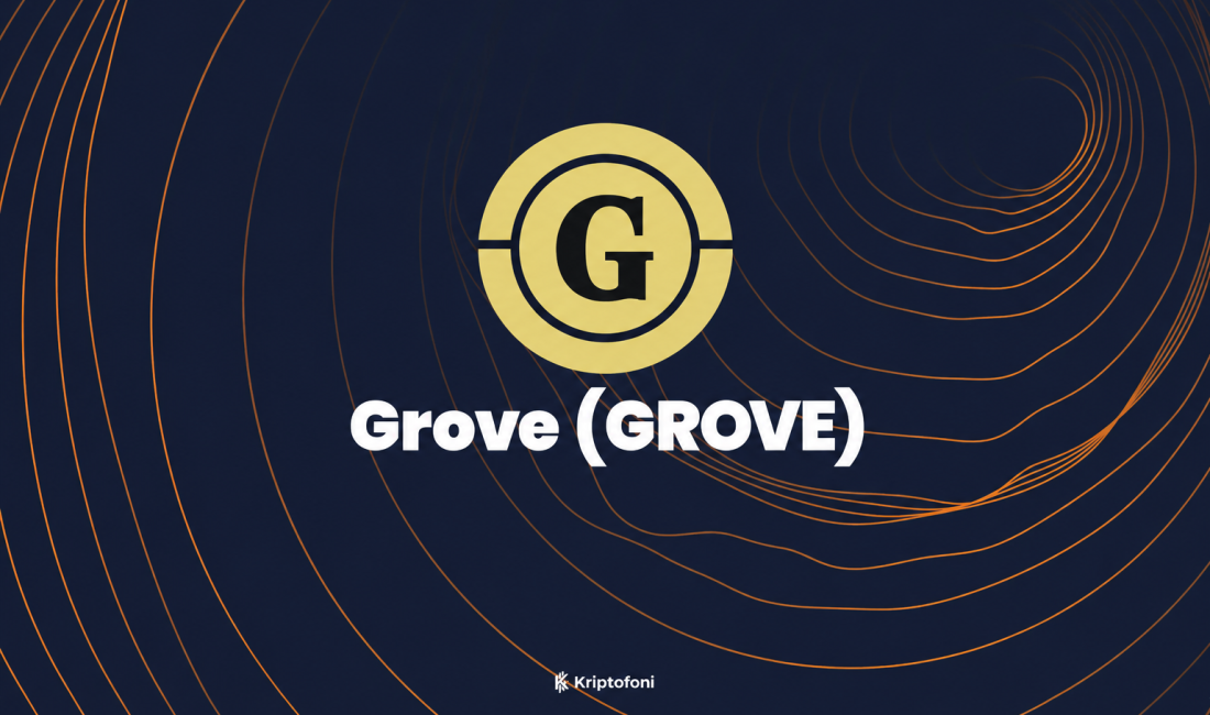 Grove (GROVE) Coin Nedir? Grove (GROVE), stablecoin likiditesini zincir üstü ve geleneksel kredi piyasalarındaki