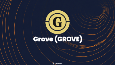 Grove (GROVE), stablecoin likiditesini zincir üstü ve geleneksel kredi piyasalarındaki